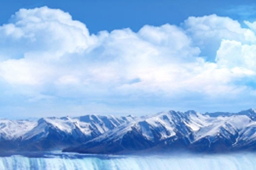 浅粉象啤酒酒吧有吗