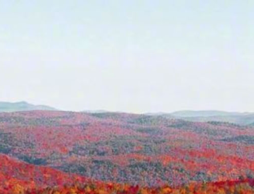 粉象生活怎么进入活动