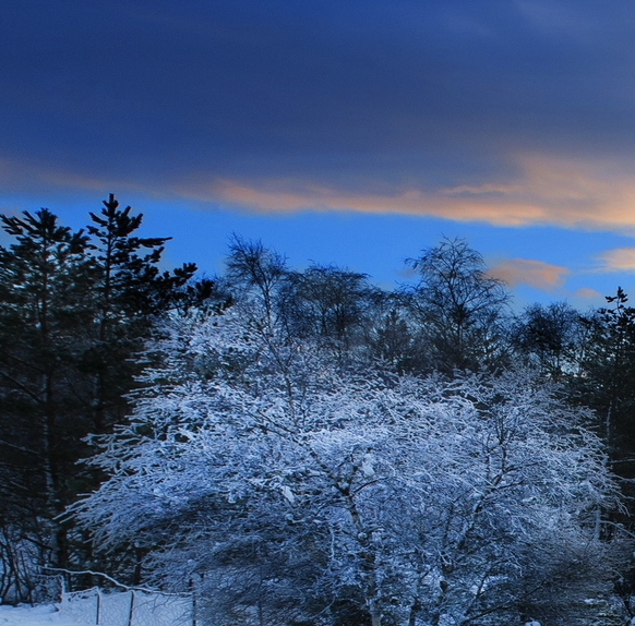 粉象生活怎么样可靠吗