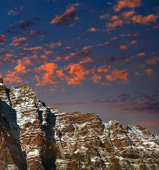 粉象生活免费推广视频