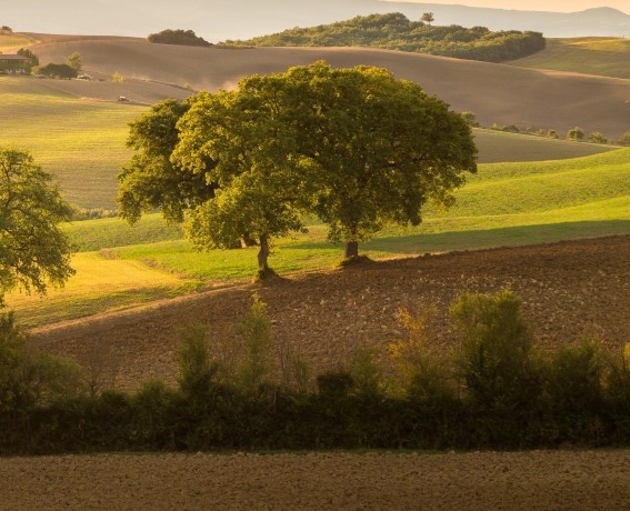 粉象生活要怎么分享给朋友