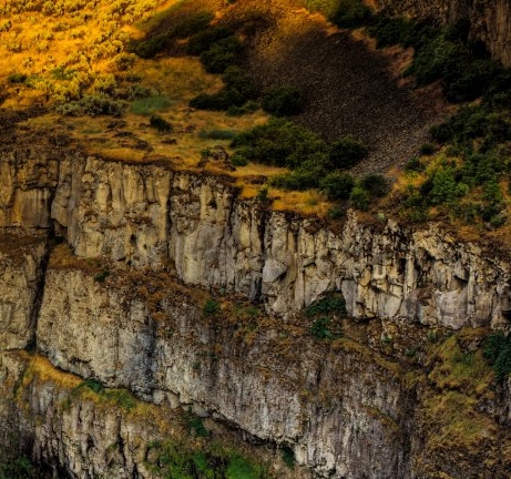 怎样成为粉象生活用户