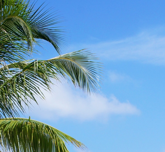 粉象生活粉丝怎么增加