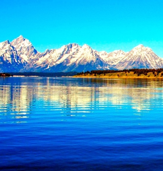 粉象生活第一单怎么做