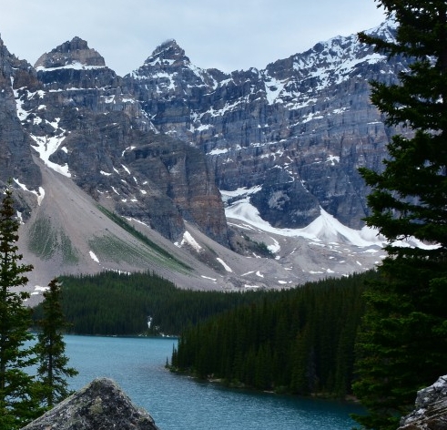 牡丹江微生活推广平台