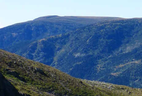 粉象生活彩票是真的吗