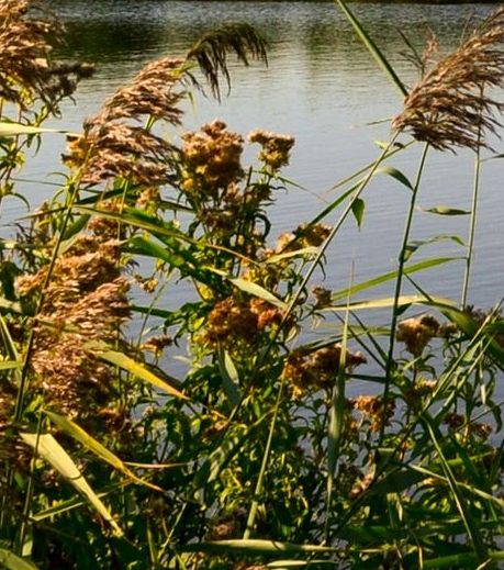 粉象生活能赚到钱吗