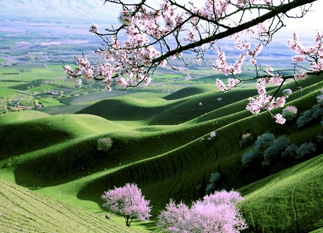 粉象生活省钱购好物