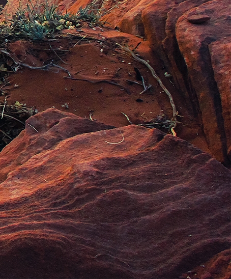 粉象生活直播入口