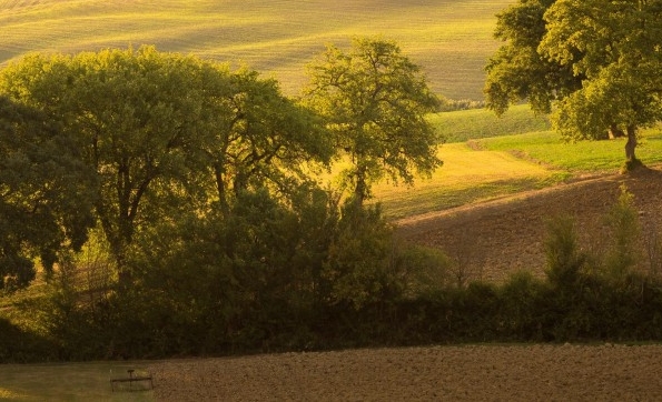 粉象生活赚钱真相