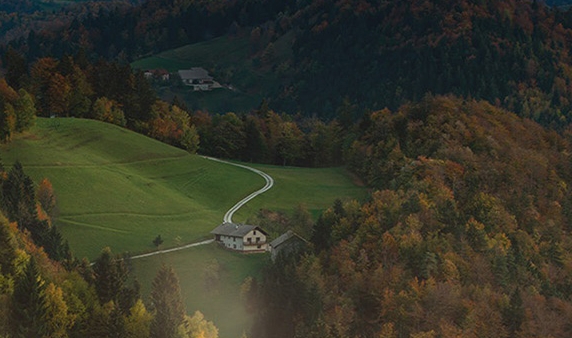 粉象生活砍价成功示例图