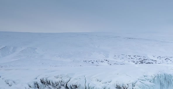 粉象生活推广引流