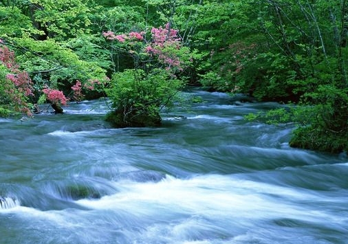 粉象生活的app下载粉象生活