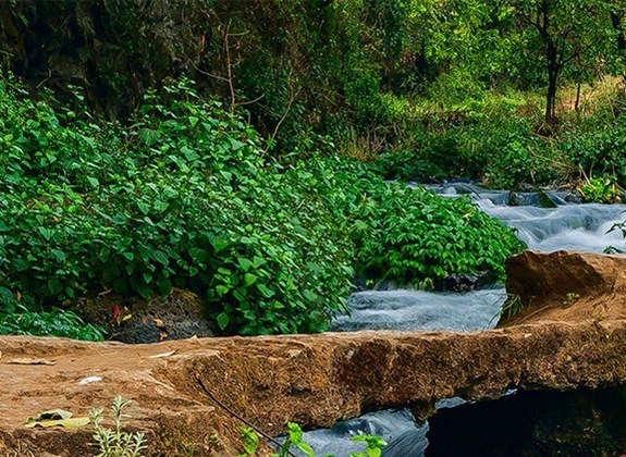 粉象生活如何申请