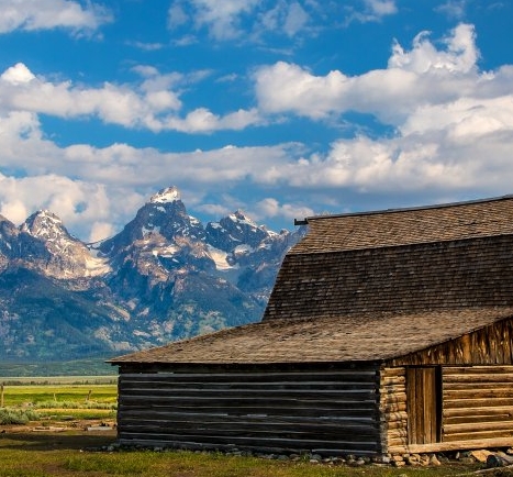 粉象生活的拼多多入口