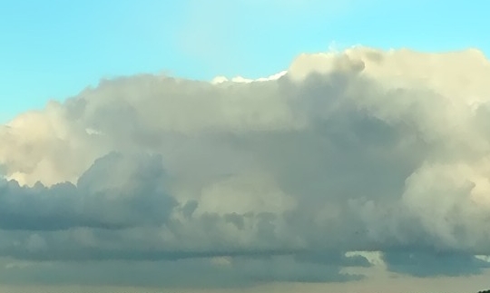 盘锦粉象生活vip