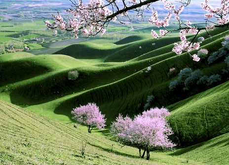 山东正规粉象生活怎么赚钱