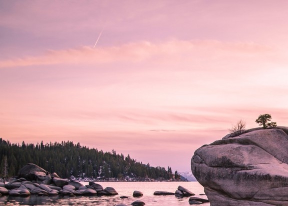 粉象生活下载app