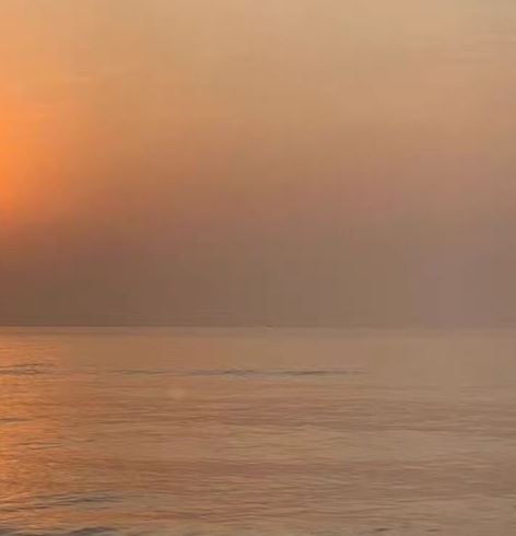 粉象生活礼包制度粉象生活