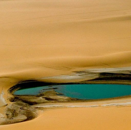 粉象生活邀请码靠谱写325922