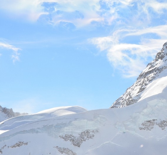 粉象生活佣金级别