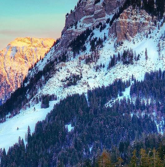 粉象生活拉不到人能赚佣金吗