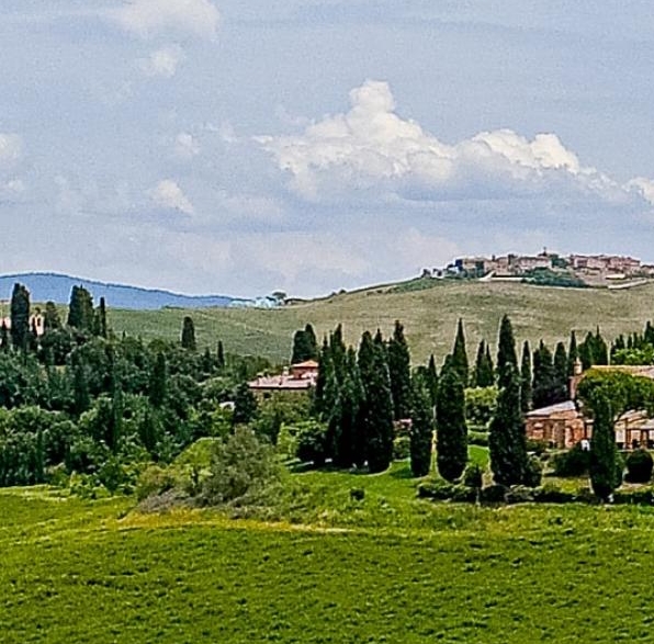 粉象生活上的广告