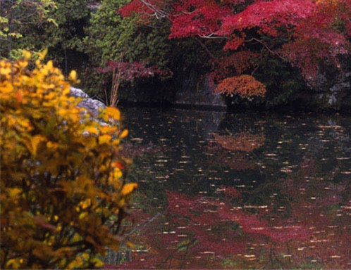 大庆粉象音乐餐厅贵吗