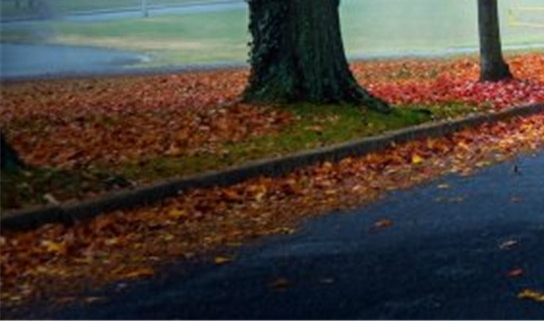 粉象生活优惠券在哪里找