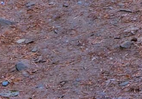 粉象生活和淘宝哪个更赚钱