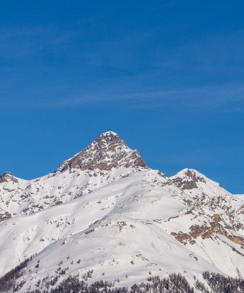 粉象生活安全可靠吗
