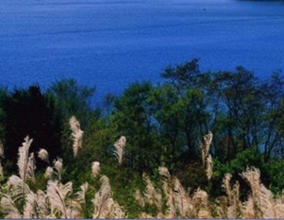 粉象生活领现金怎么玩