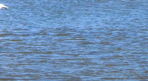 茂名粉象生活靠谱吗