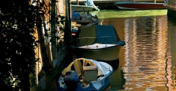 粉象生活收益如何