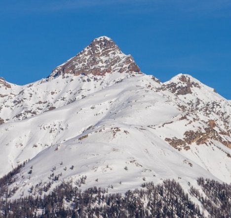 粉象生活粉丝怎么增加