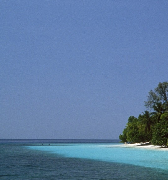 粉象生活推广网站