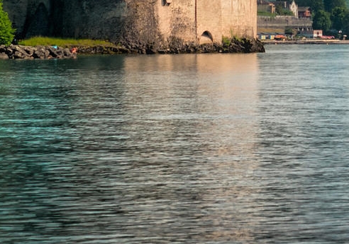 粉象生活官网加盟费多少