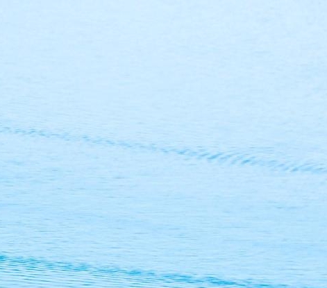 粉象生活好友怎么查看