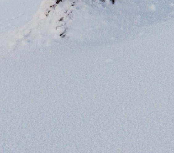 粉象生活能赚到钱吗