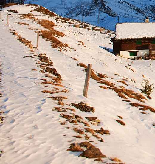 粉象邀请码怎么出来的