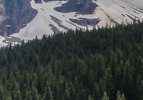 粉象生活优惠券的使用方法