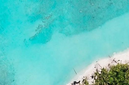 深圳粉象生活怎么样