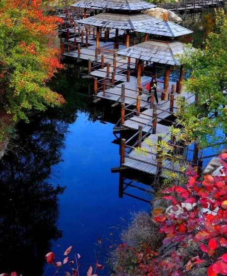 粉象生活怎么推广