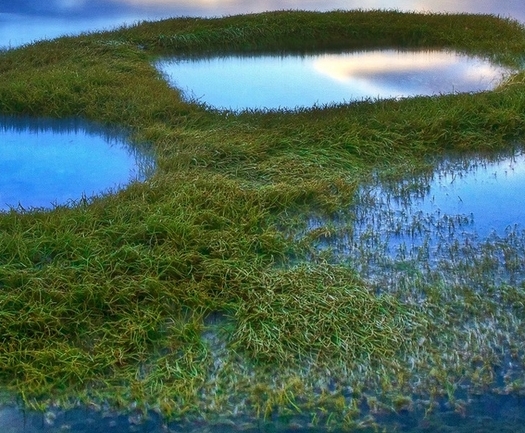 粉象生活怎么添加淘宝客