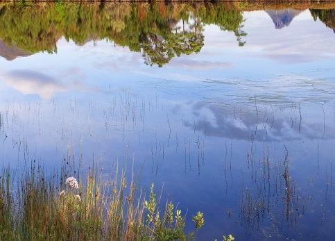 粉象生活被处罚