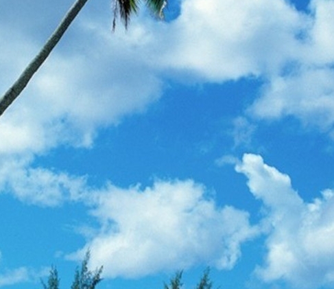 小程序粉象生活