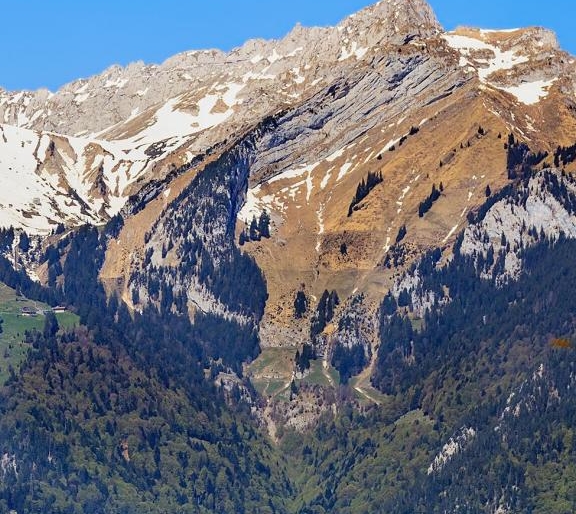 下载粉象生活app的