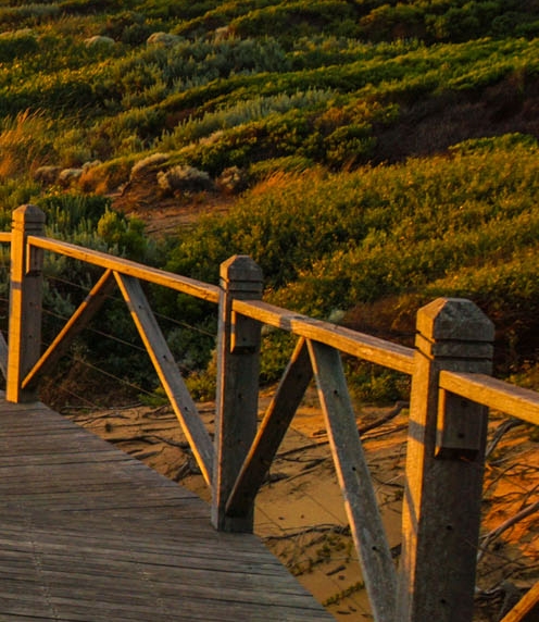 粉象生活开店怎么开