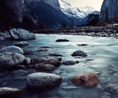 江苏口碑粉象生活