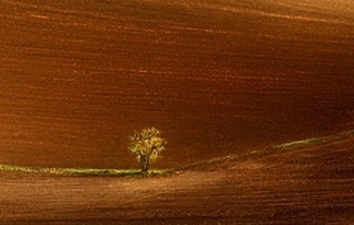 粉象生活什么时候提现